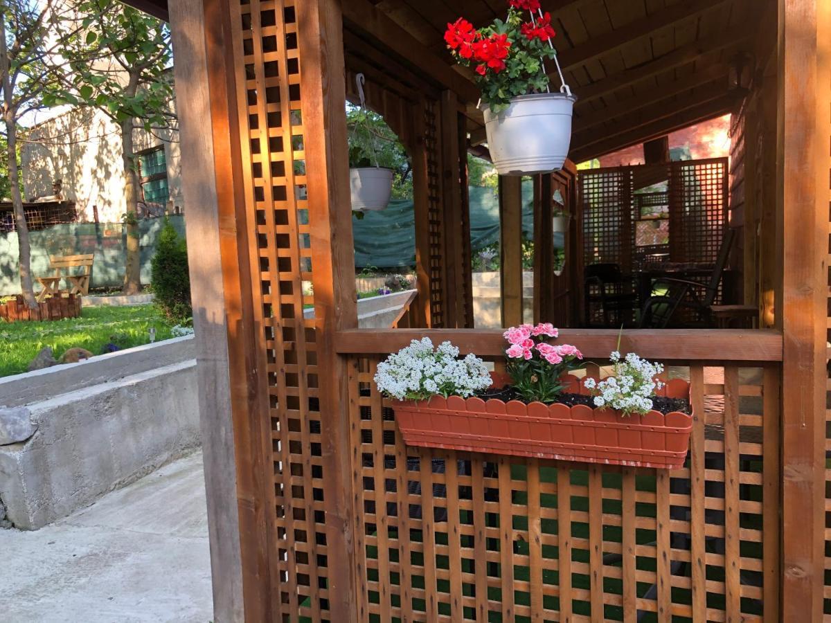 Casa Anina Hotel Buitenkant foto