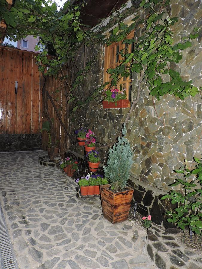 Casa Anina Hotel Buitenkant foto